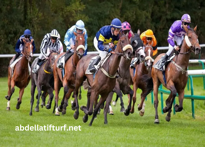 Resultat Des Courses Aujourd’hui