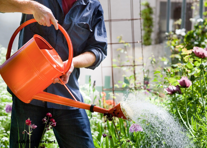 Water-Wise Gardening: Conserve Resources, Grow More