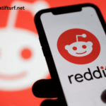 The Role of Moderation in Ensuring Quality Reddit Sports Picks