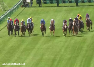 LA Voyeuse Cplemaire