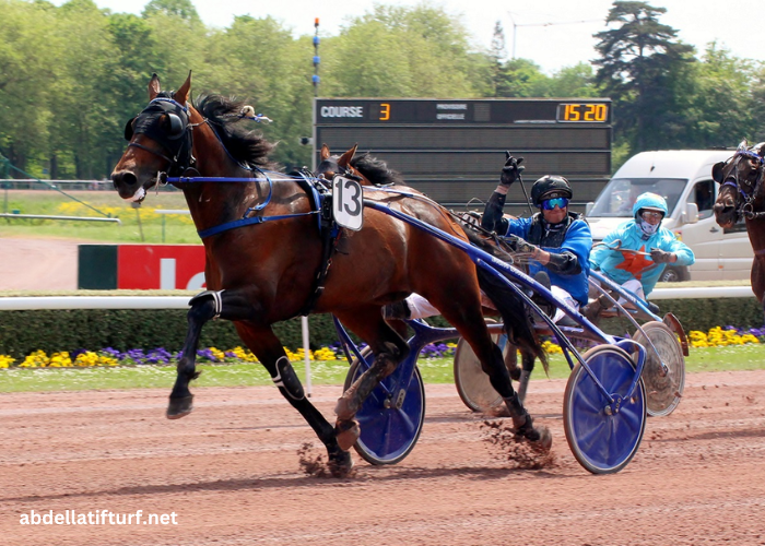 Passage Obligé 100 Gagnant Placé 3