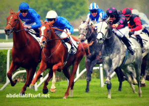 Clé Milliard Turf (3)