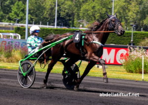Jolie Turf Gagnant