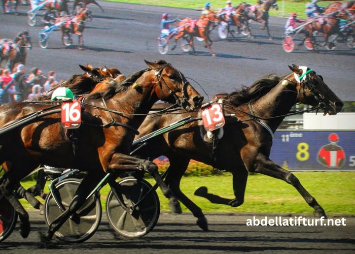 Paris-Promise Turf