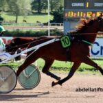 Prono Logique Turf