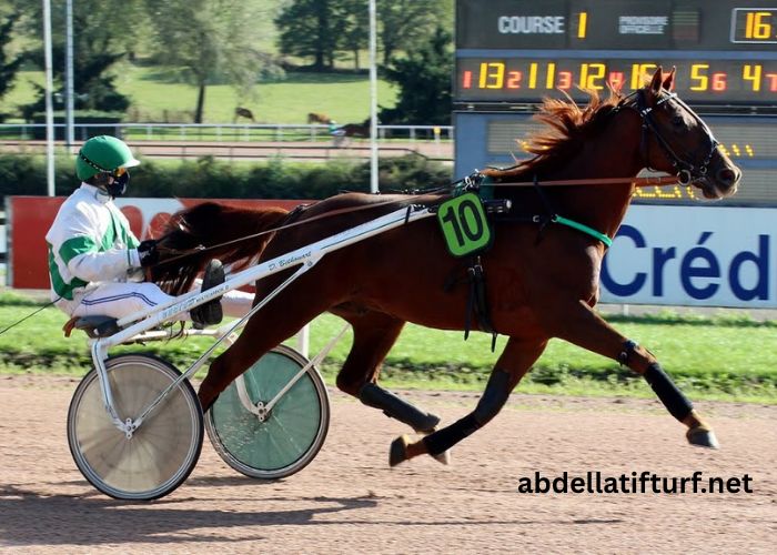 Prono Logique Turf