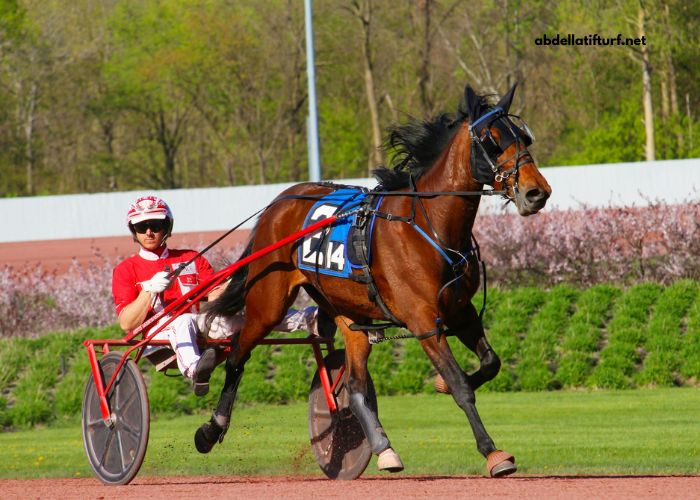 100pour100quinte Sur
