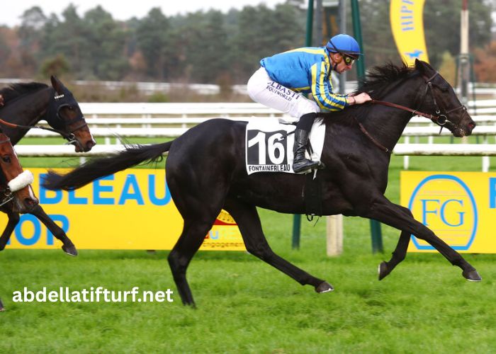 Center Gagnant Pmu (1)