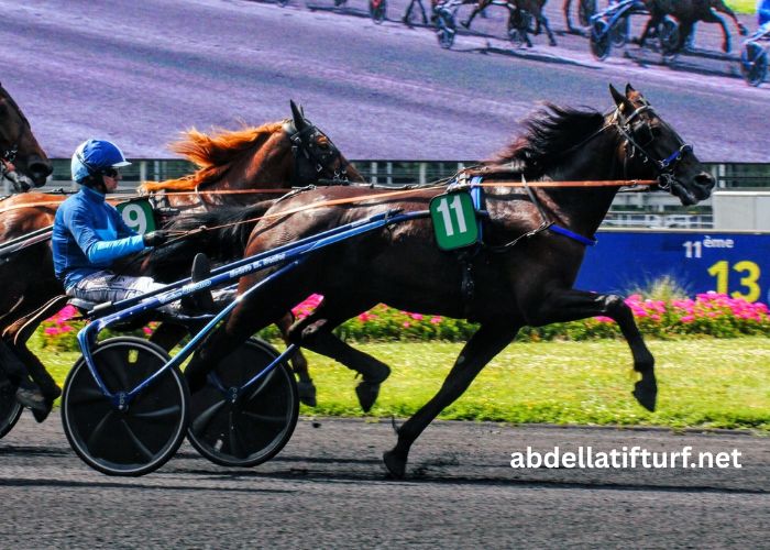 Resultat Des Courses Aujourd'hui 15h15