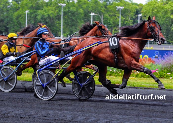 Tierce 100 Gagnant
