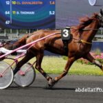 Tierce-Magic Vip (1)