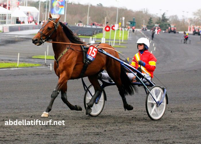Trio 3 Chevaux