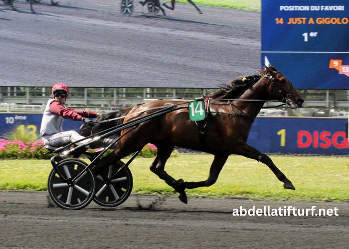 Turf Jeu Simple