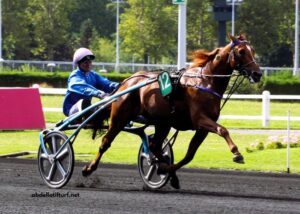 Tierce100pour100 Sur