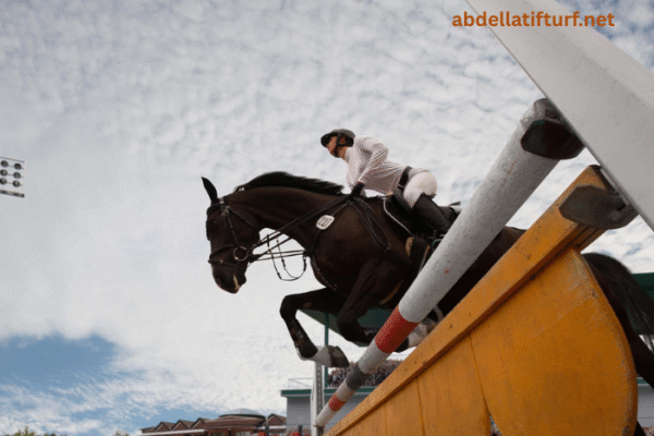Technology on the Track: GPS, Data Analytics, and Smarter Racing Insights