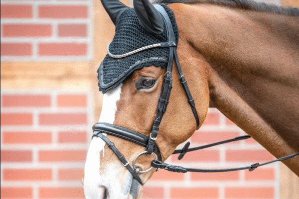 The Pulse of the Game