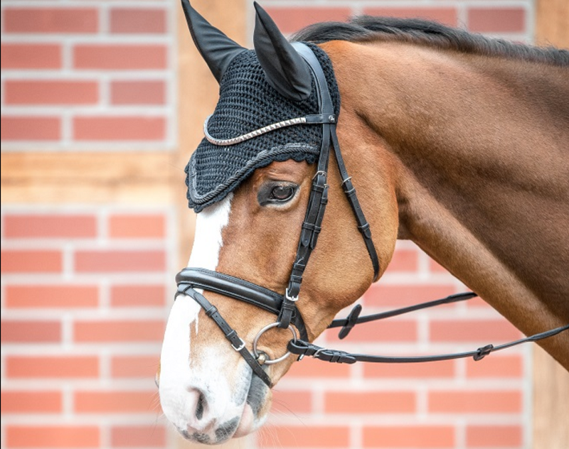 The Pulse of the Game