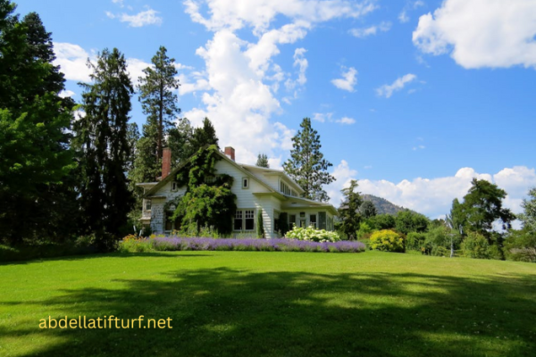 Home Garden Improvements are Now Made Easy