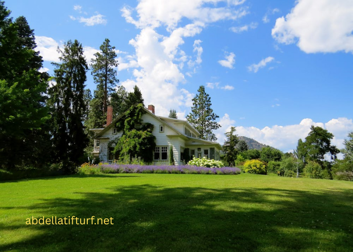 Home Garden Improvements are Now Made Easy